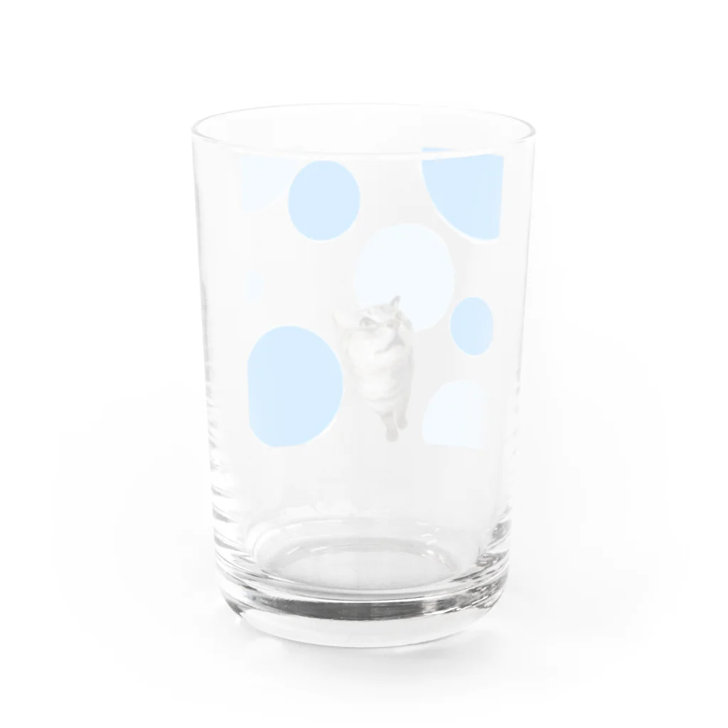 末っ子じゃない甘えん坊猫の水玉around猫 Water Glass :back