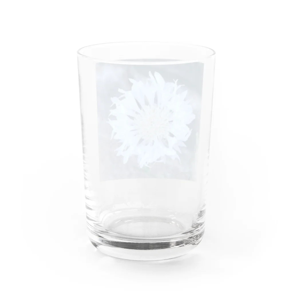賄い。の世界で1番好きな花。 Water Glass :back