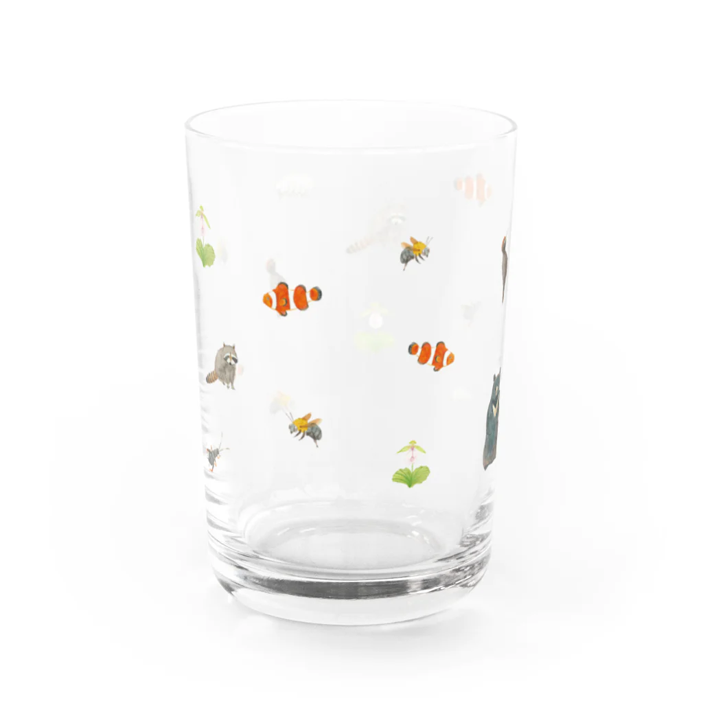 ミナミアスカの共通点はな~んだ？（クマ） Water Glass :back