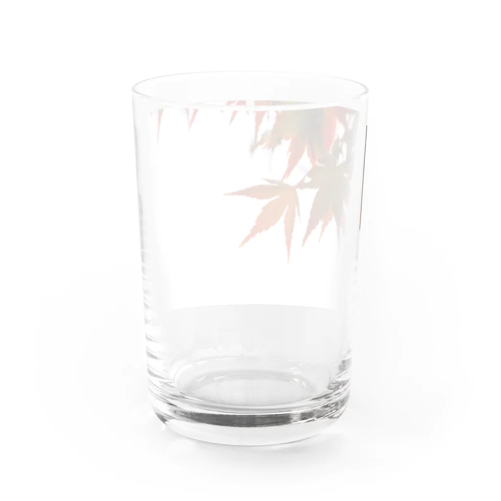 AI生成画像・風景・小物の写真をグッズにしてみましたの楓 Water Glass :back