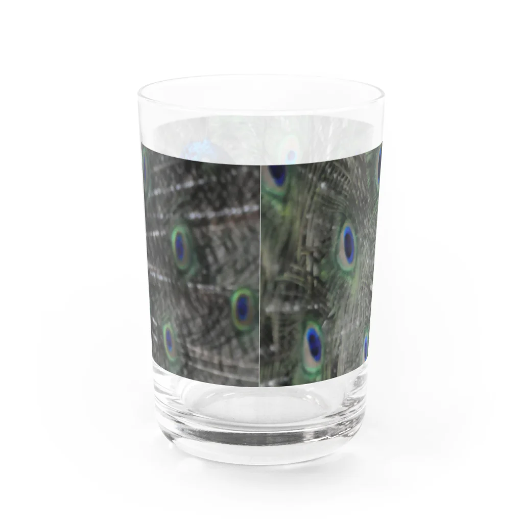 (羊虎魂)の孔雀・2 Water Glass :back