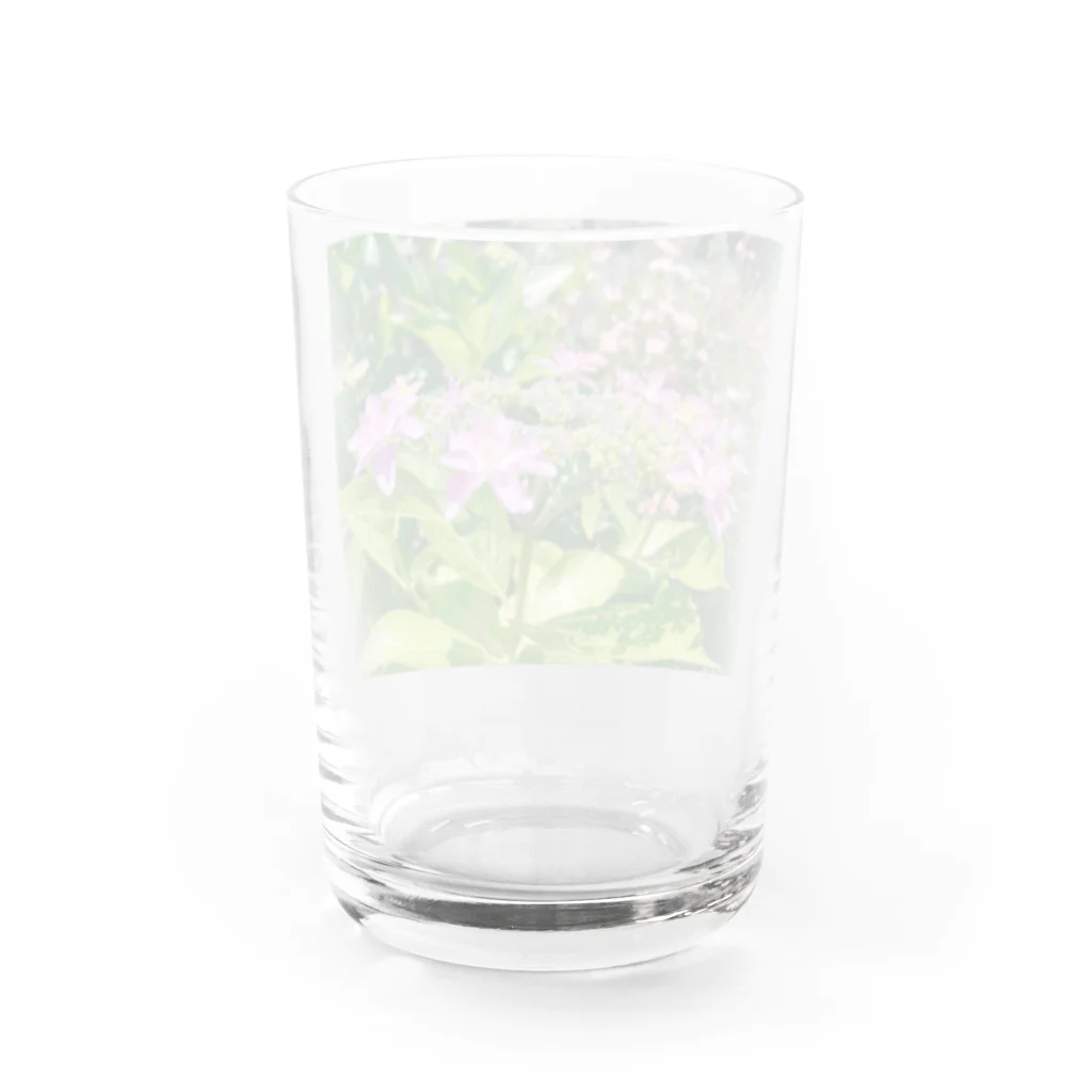 piyonnzの紫陽花 Water Glass :back