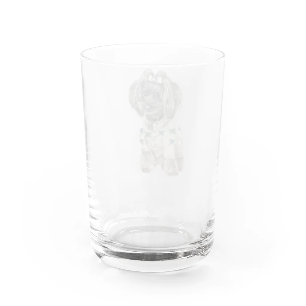 すずめR33,12のシュナウザー Water Glass :back