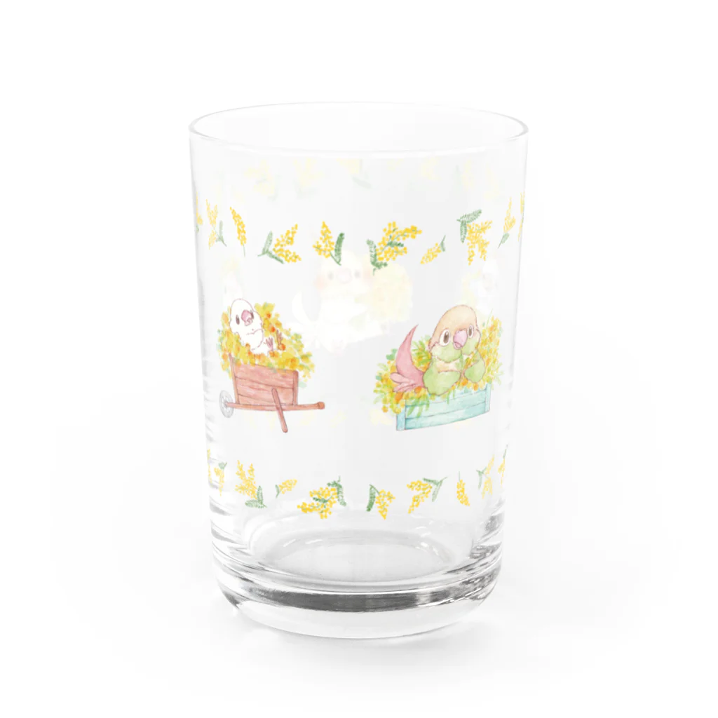 ゆとり屋のことりとミモザ Water Glass :back