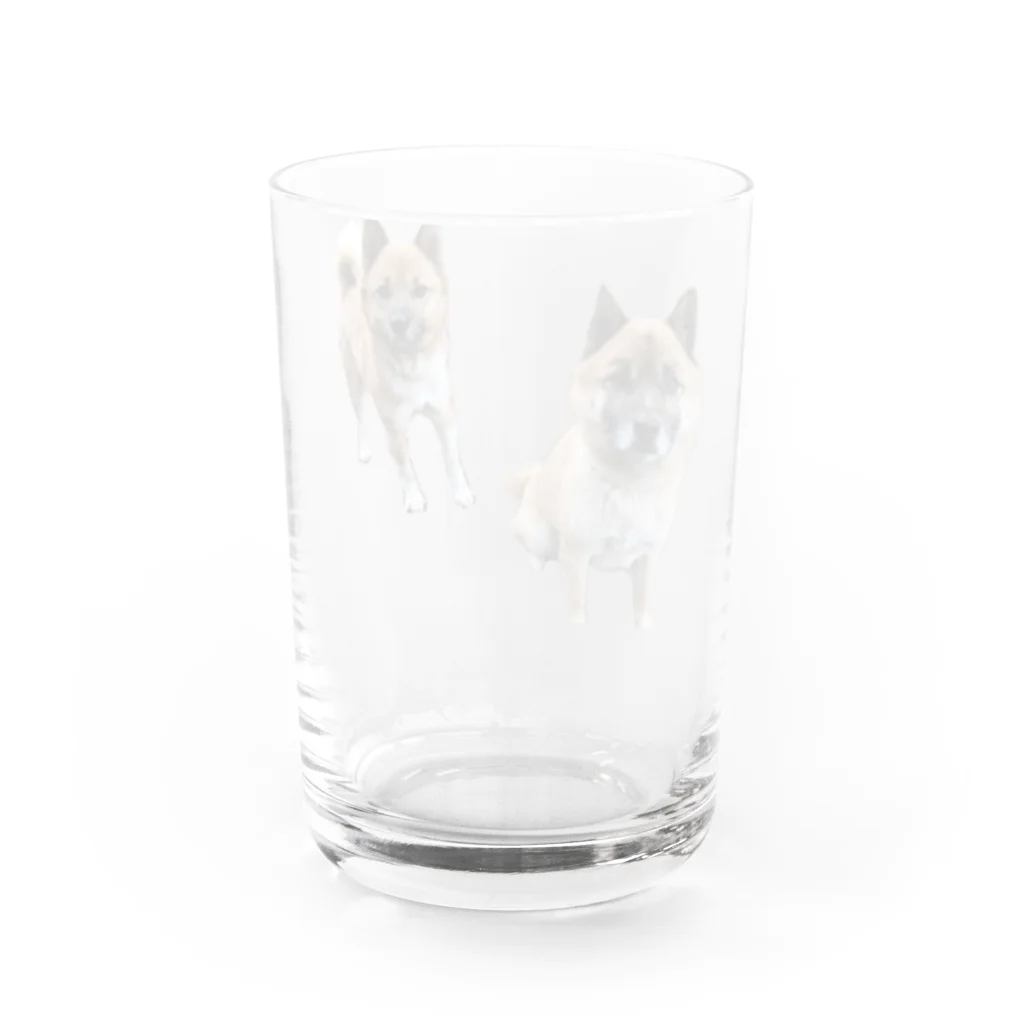 TAKA SHOPのタロジログッズ Water Glass :back