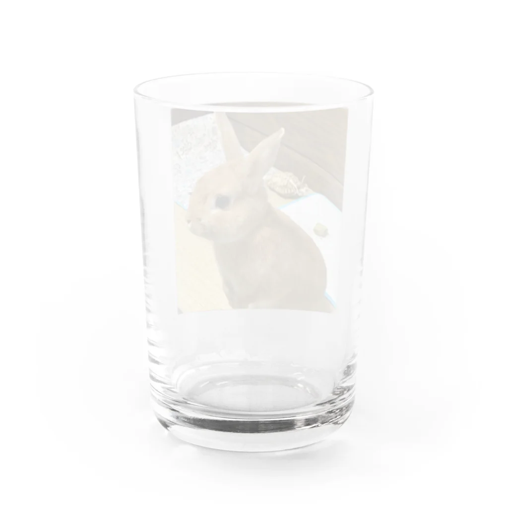 yoshiokasatomiのわらびもち君 Water Glass :back