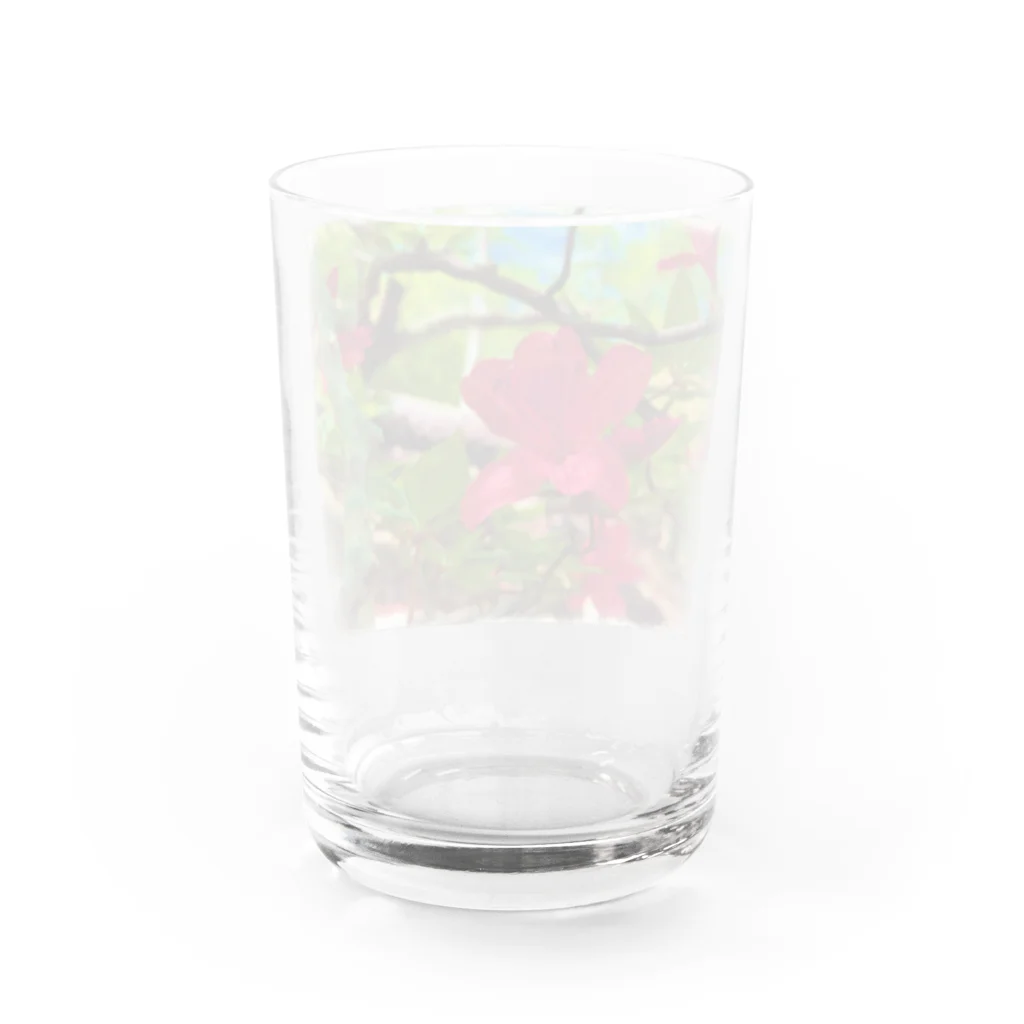 Nskw_SUZURIの夏花 グラス反対面