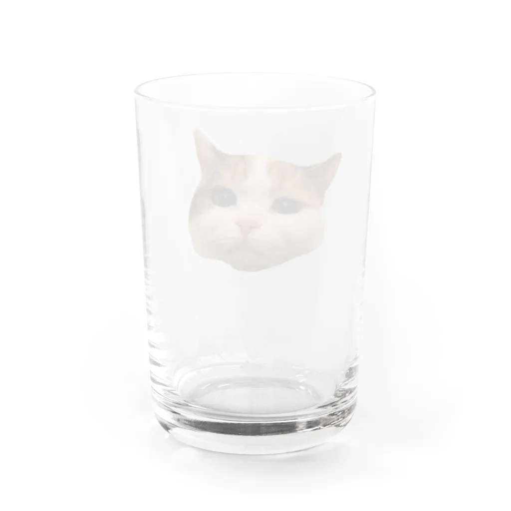 (あすか)のびすこ Water Glass :back