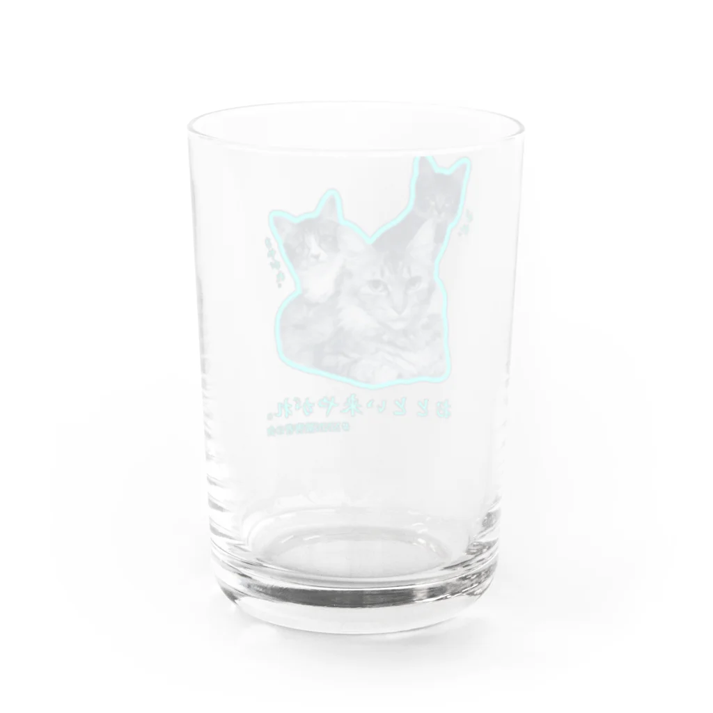 #NNN被害者の会のおととい来やがれ　水色 Water Glass :back