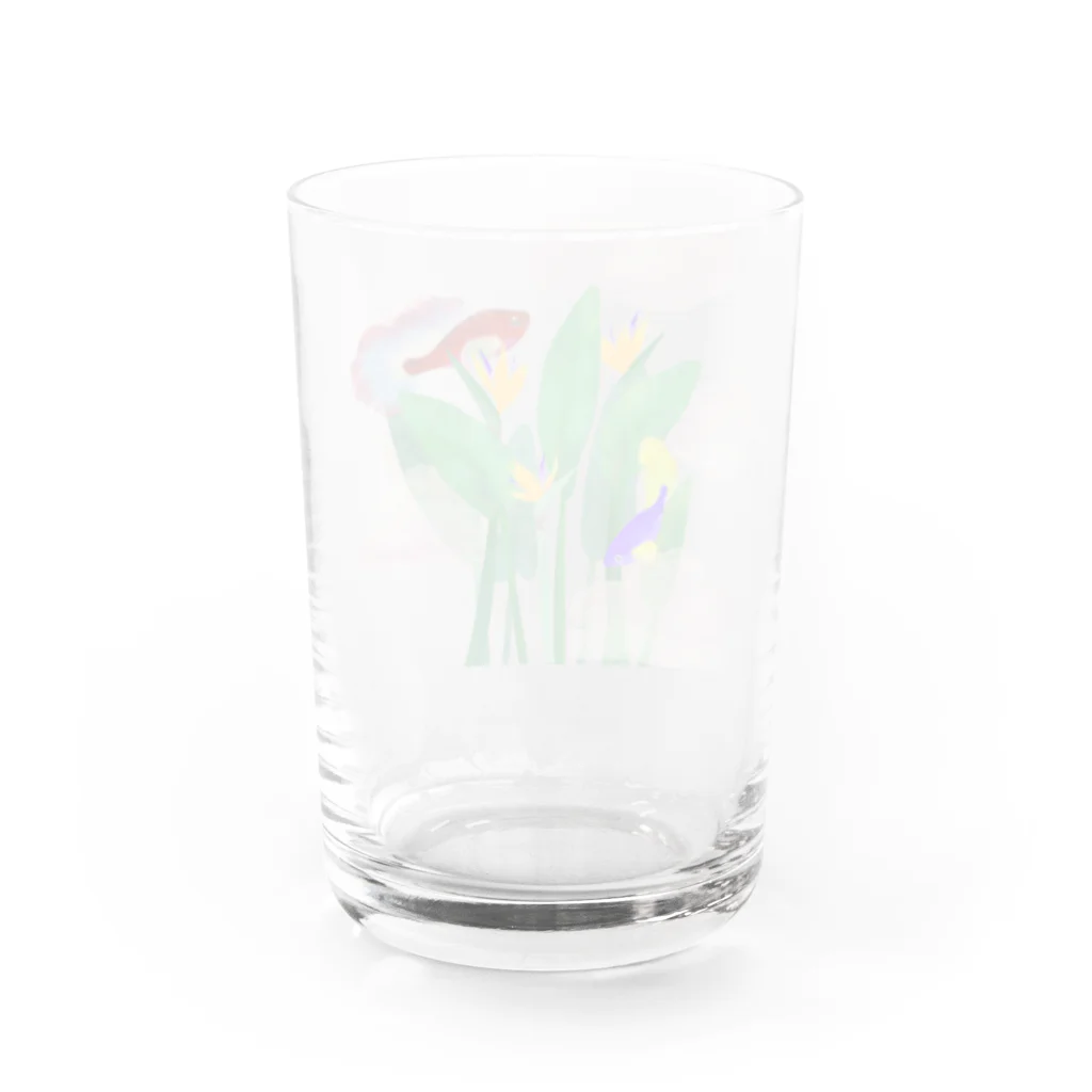 へーはちのみせの熱帯マジックアワー Water Glass :back