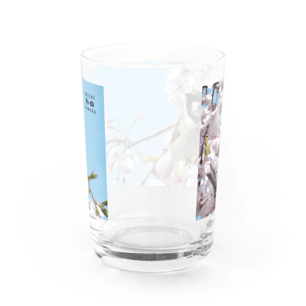 CHICHI&CAMERAのスズメ Water Glass :back