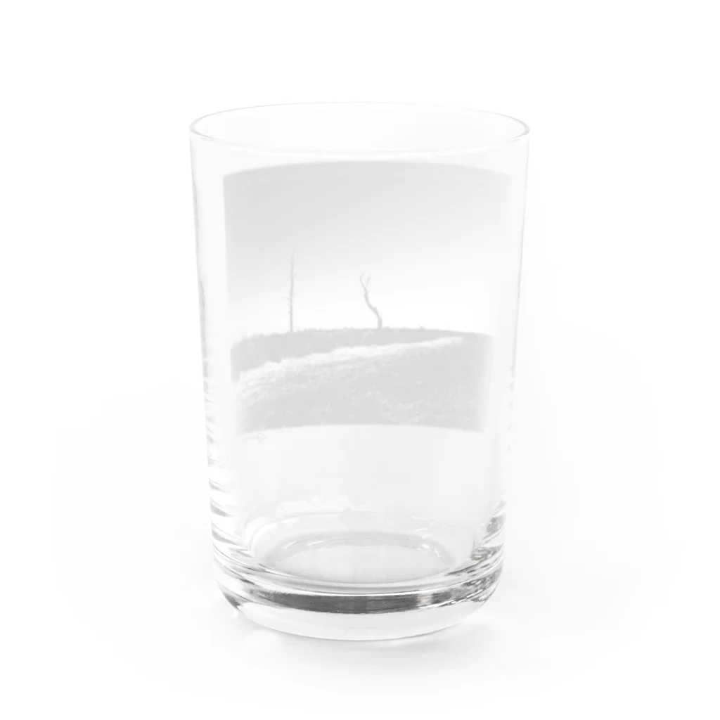 GenerousのTODOWARA Water Glass :back