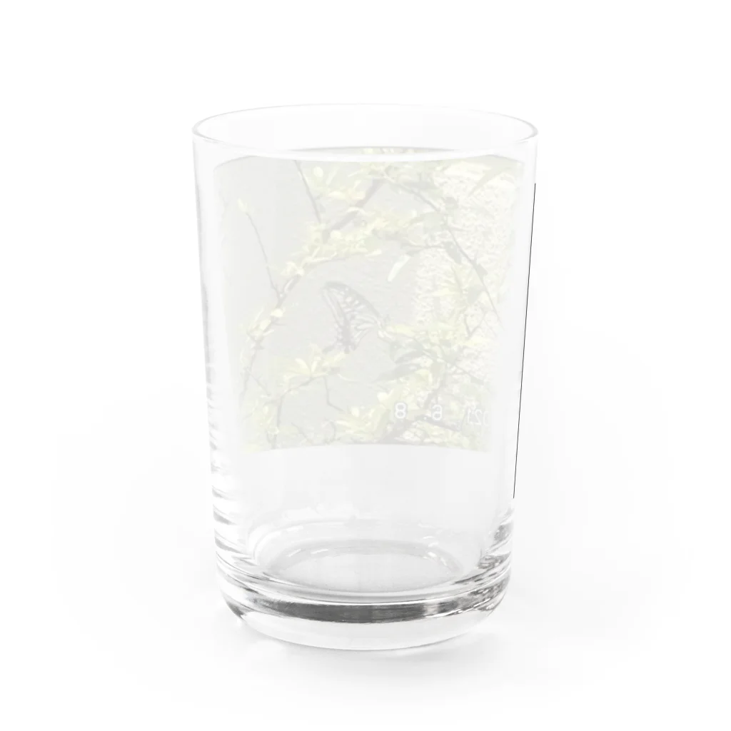 ディスク百合おんのminiDVテープ「アゲハ蝶」 Water Glass :back