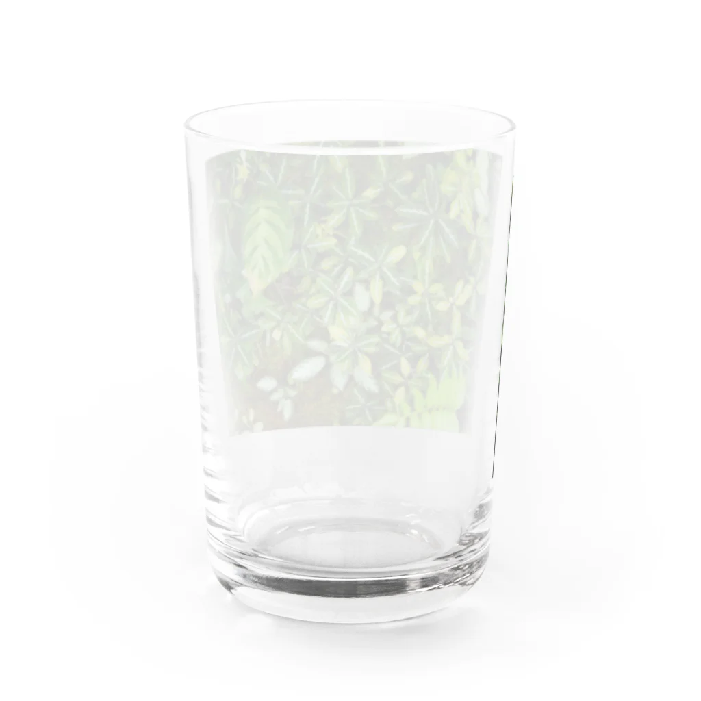 guu.の青時雨 Water Glass :back