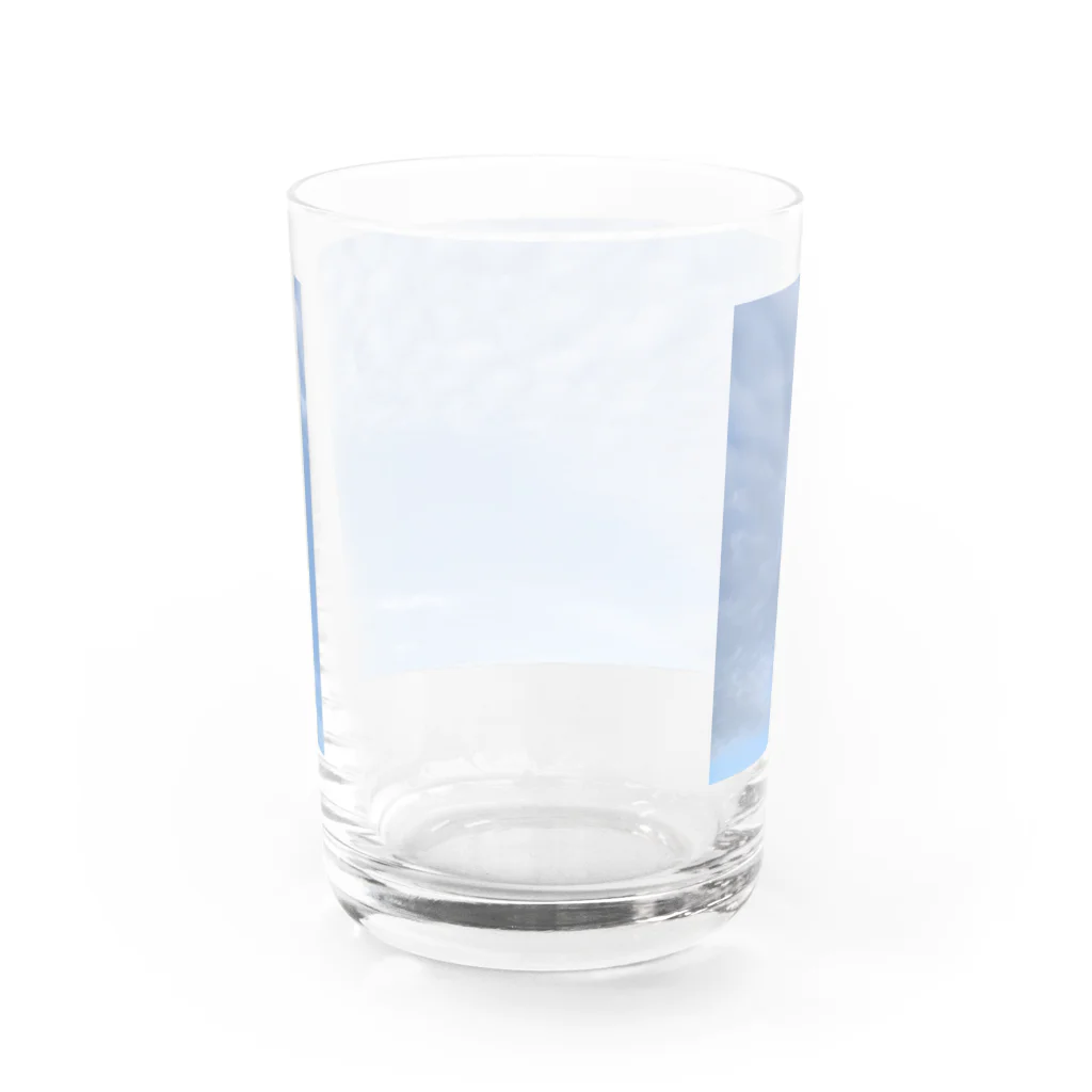 たけのこの鱗 Water Glass :back