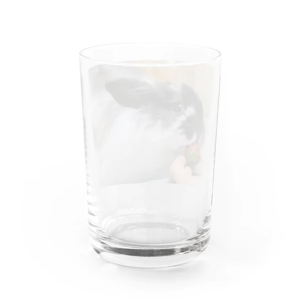 本日のぱるむさんのぱるむのはじめてのいちご体験 Water Glass :back