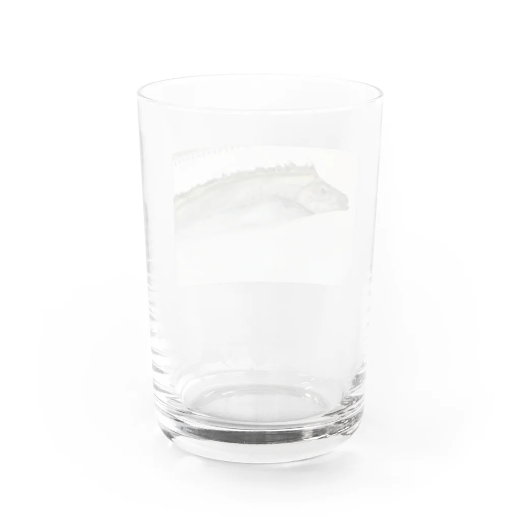 よっちーStoreのたちうおくん Water Glass :back