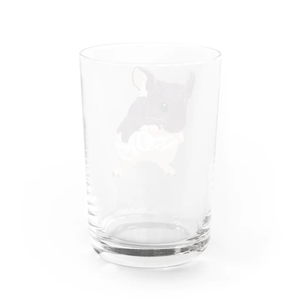 Lichtmuhleのモルパラ2021 ふう太ちゃん Water Glass :back