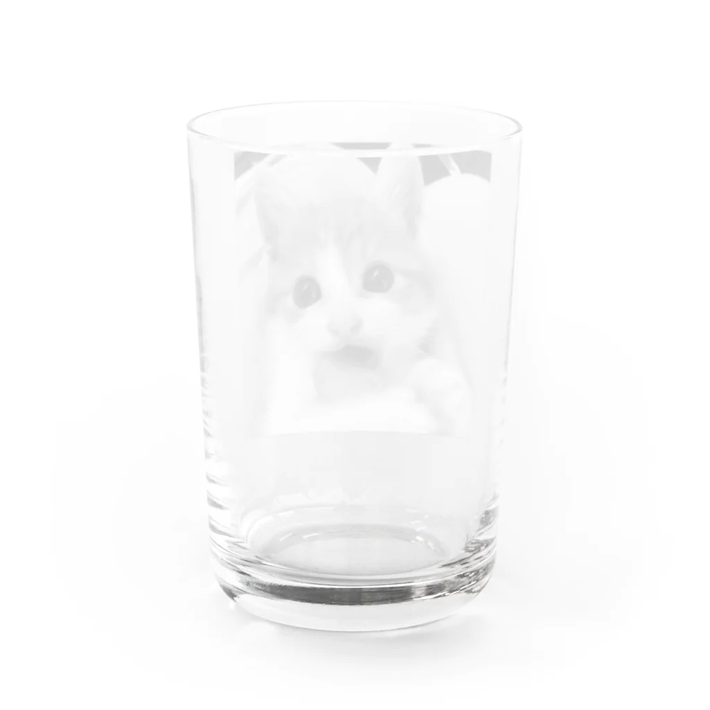 保護猫支援ショップ・パール女将のお宿のおもいで Water Glass :back