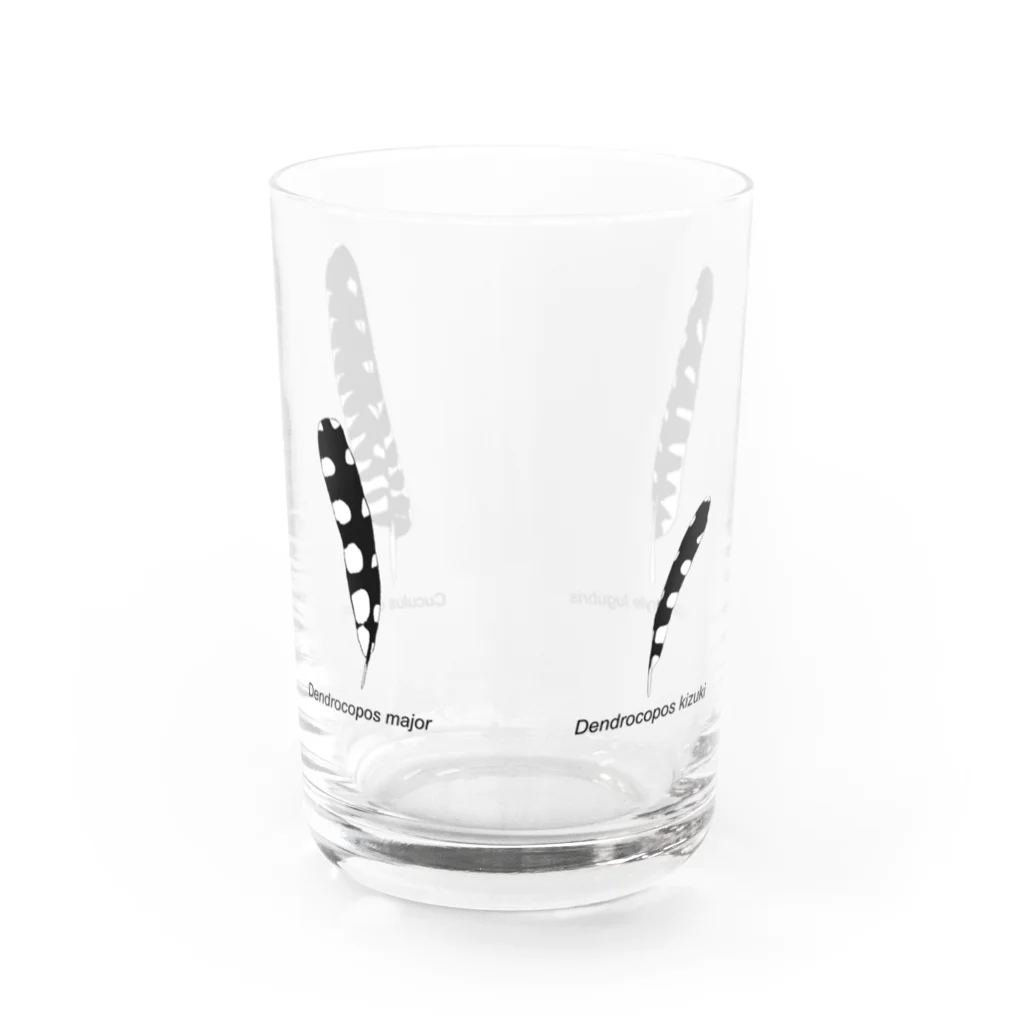 ハネクラシのコクビャクノハネ　グルグルマワスグラス Water Glass :back