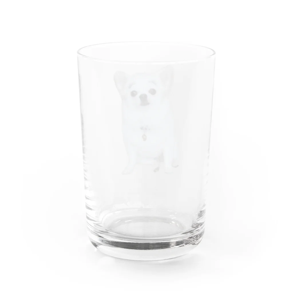 しまのまゆげこむぎこ Water Glass :back