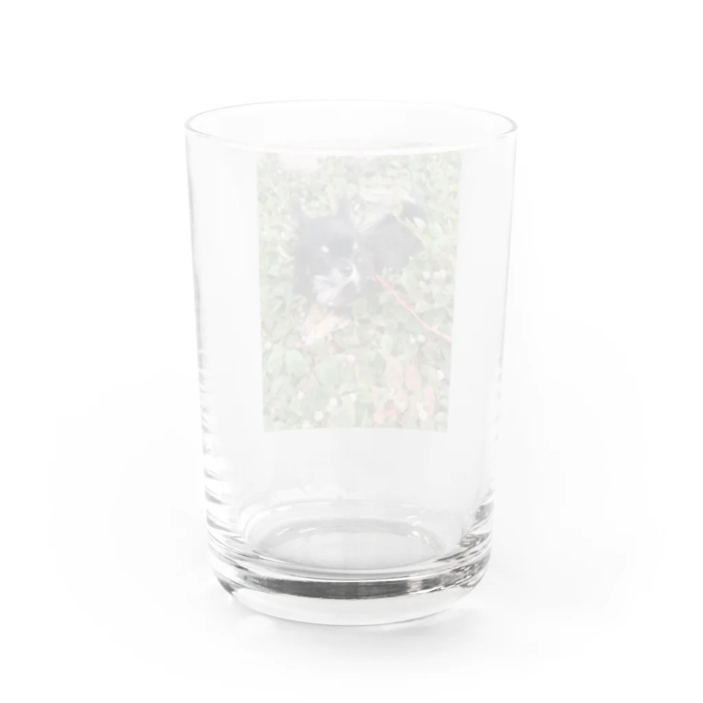 05colloncollon06のコロン3 Water Glass :back