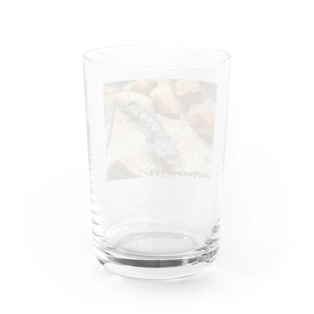 10chim.aquaのポリプテルスエンドリケリー Water Glass :back