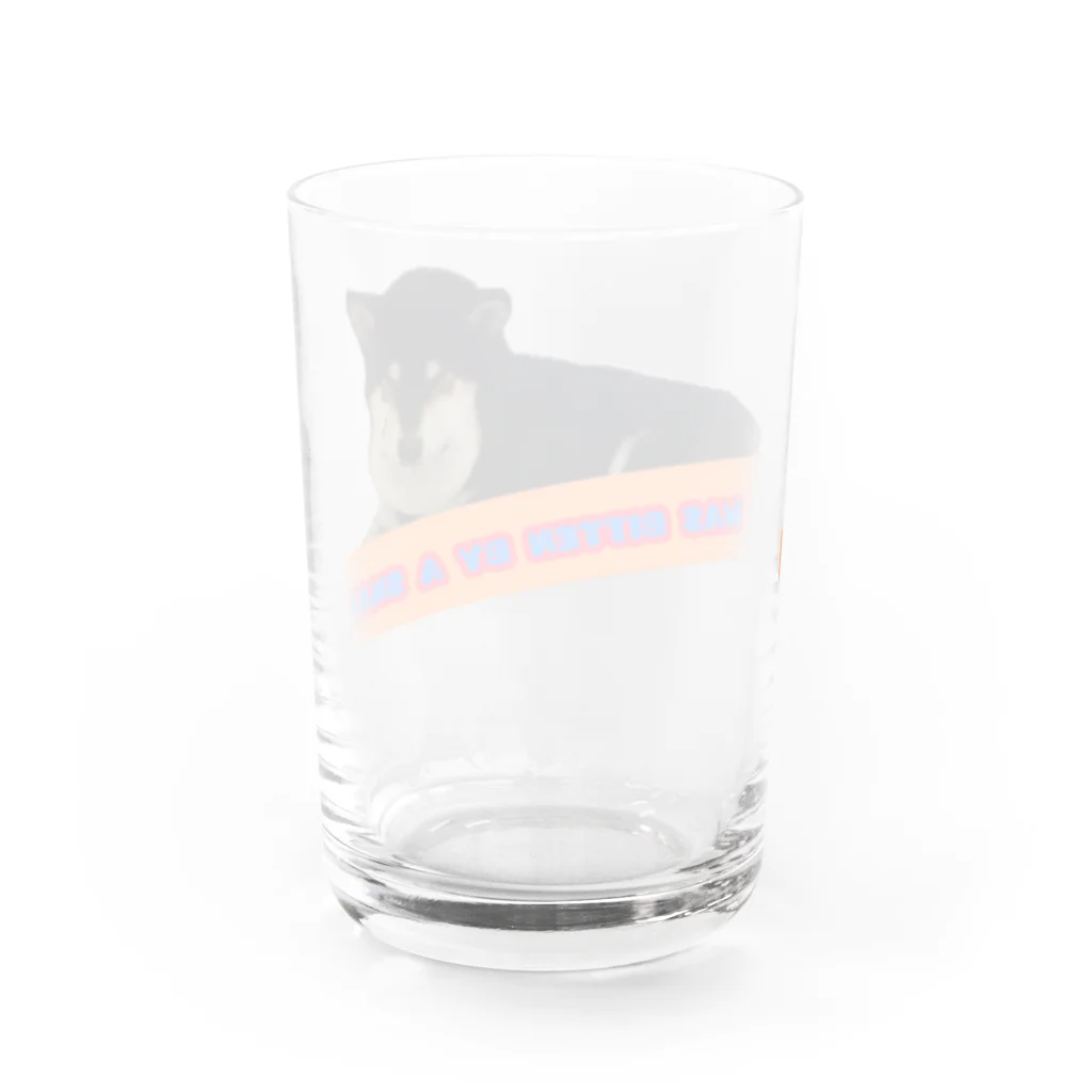 柴犬と柴犬のマムシ柴犬2 Water Glass :back