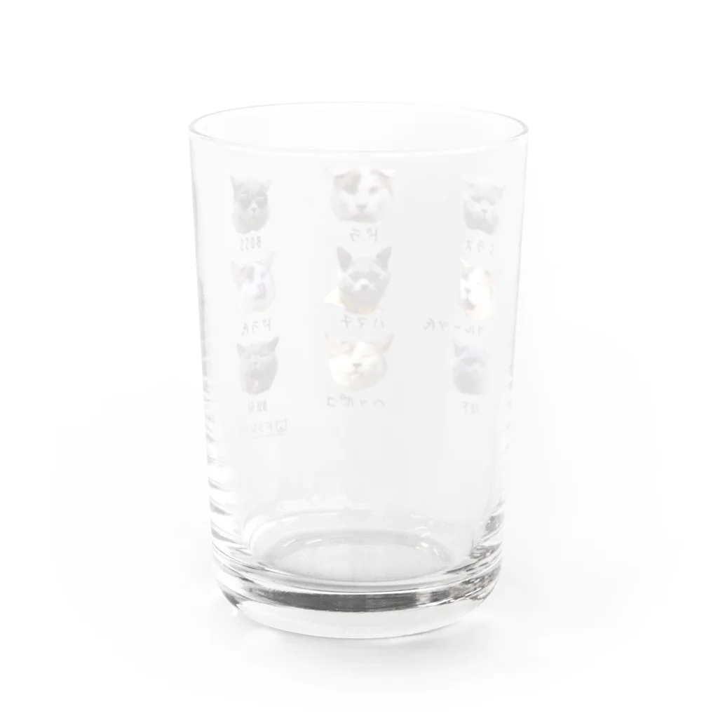 ドラシラスのドラシラス＆ハマチ Water Glass :back