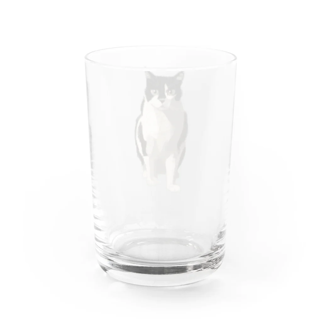 小鳥と映画館のカッコいいネコ Water Glass :back