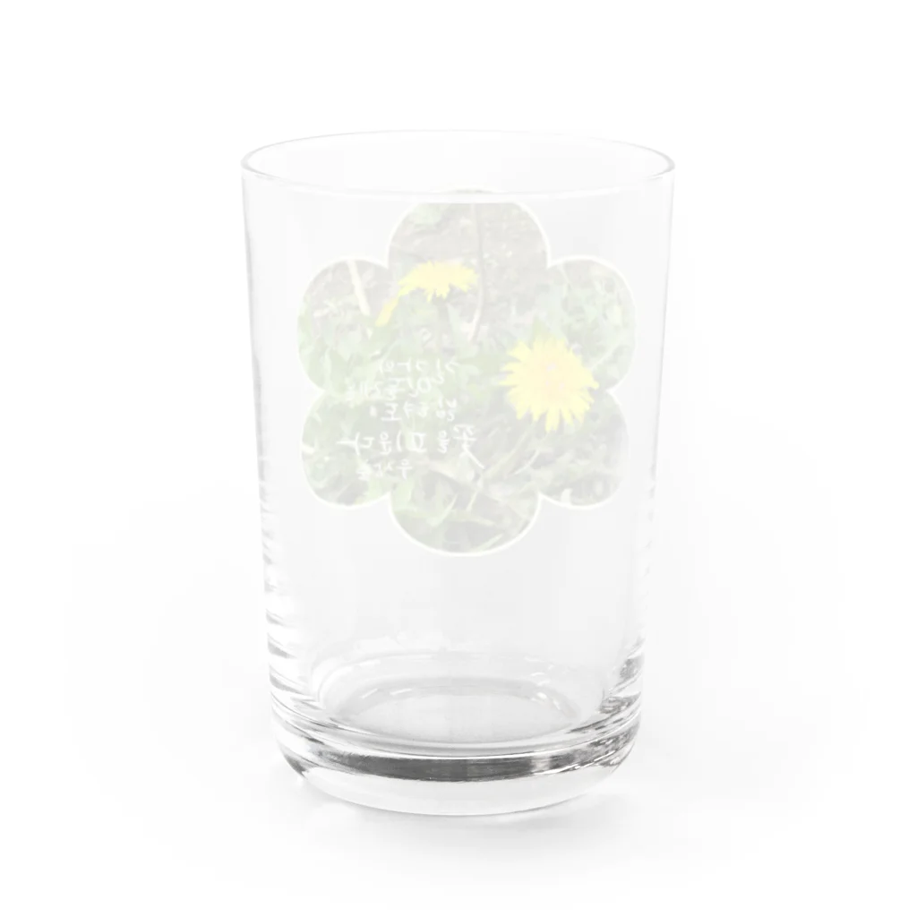 大安門堂の踏まれても咲く道端のたんぽぽ Water Glass :back