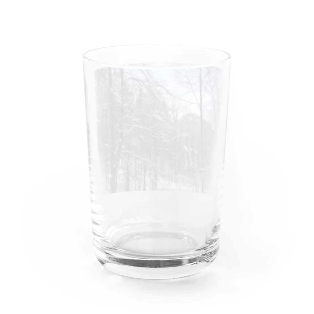 Orchestra:Suzuri支店の世界の風景:Fuessen Water Glass :back