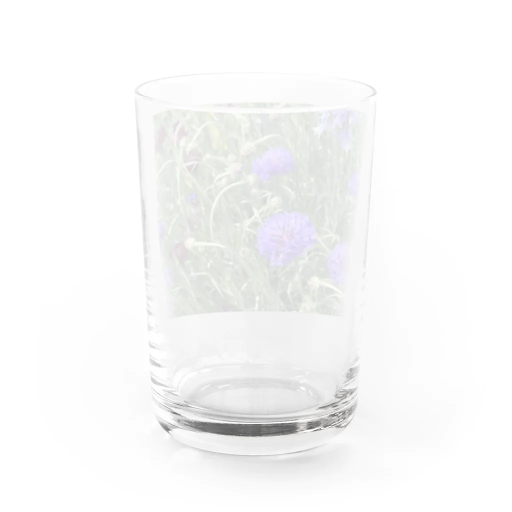 amekoamenokoのflower Water Glass :back