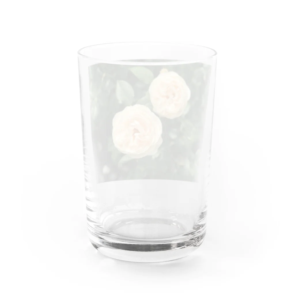 amekoamenokoのflower Water Glass :back