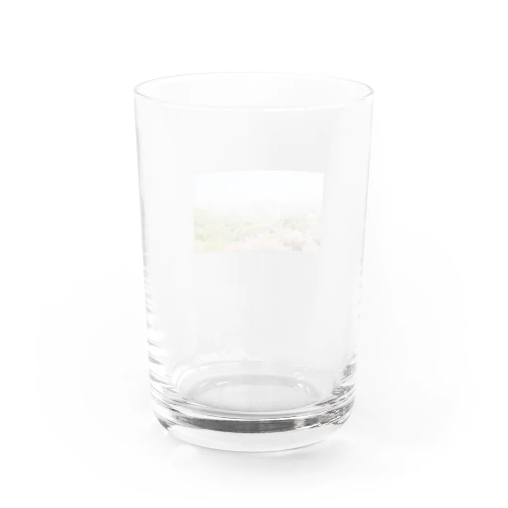 ヤンメンピはこれらをいいと思いましたの春 Water Glass :back