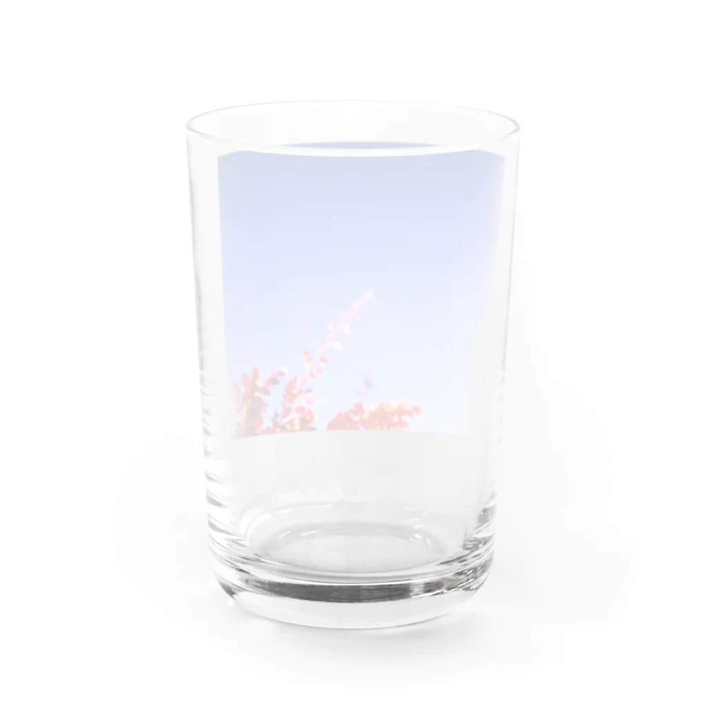 よねちゃん123のオリオン座と木 Water Glass :back