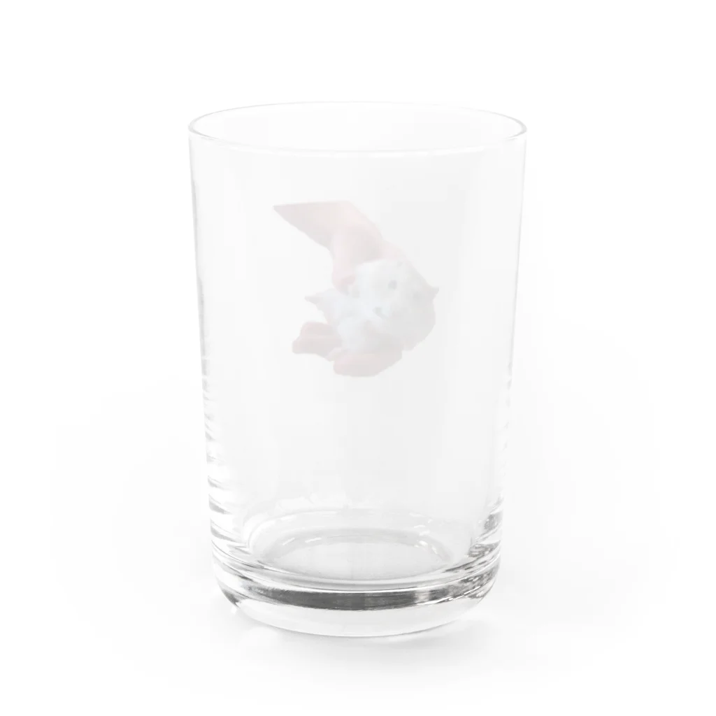 感受性訓練棟のハムスターのはむさん Water Glass :back