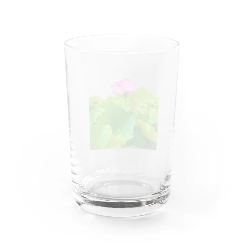 K子のお店＠主に自分用の臼杵の蓮 Water Glass :back