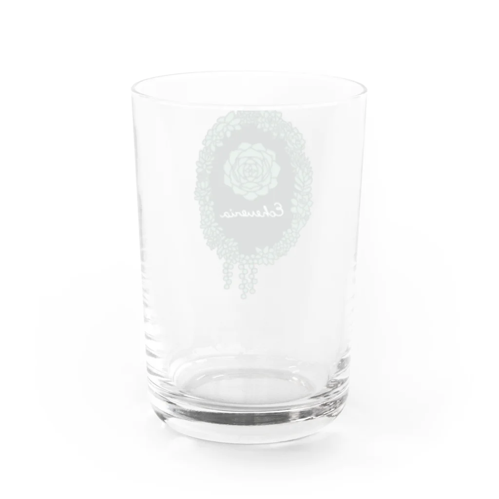 Alba spinaのエケベリア グリーン Water Glass :back