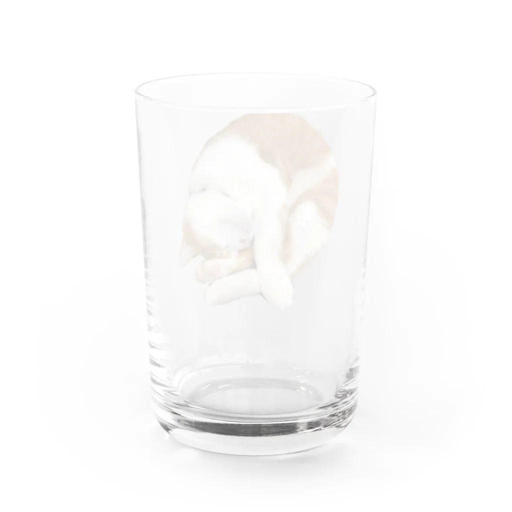 Smile Cute ..mikiのキジトラ猫のタイガーくん Water Glass :back