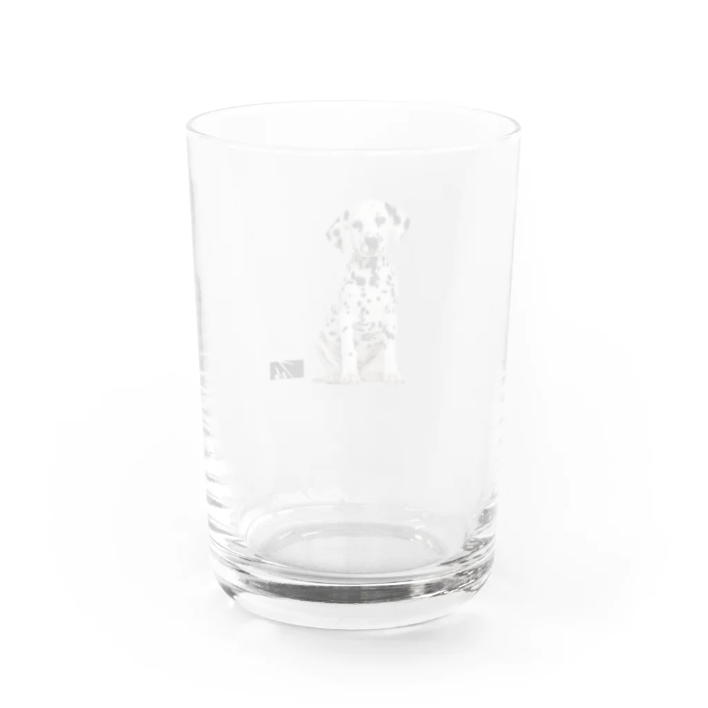 zebran.のDalmatian Water Glass :back