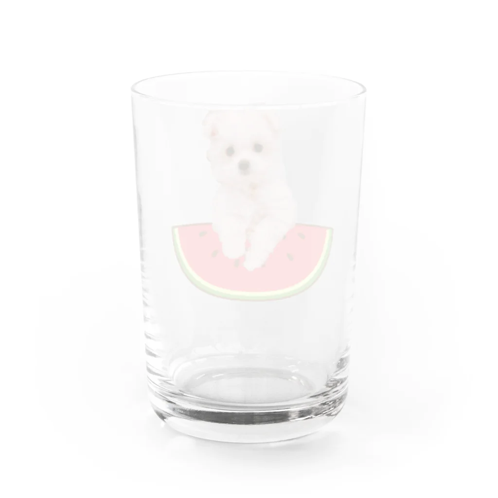 shiromofuのあめちゃん🍬夏 Water Glass :back