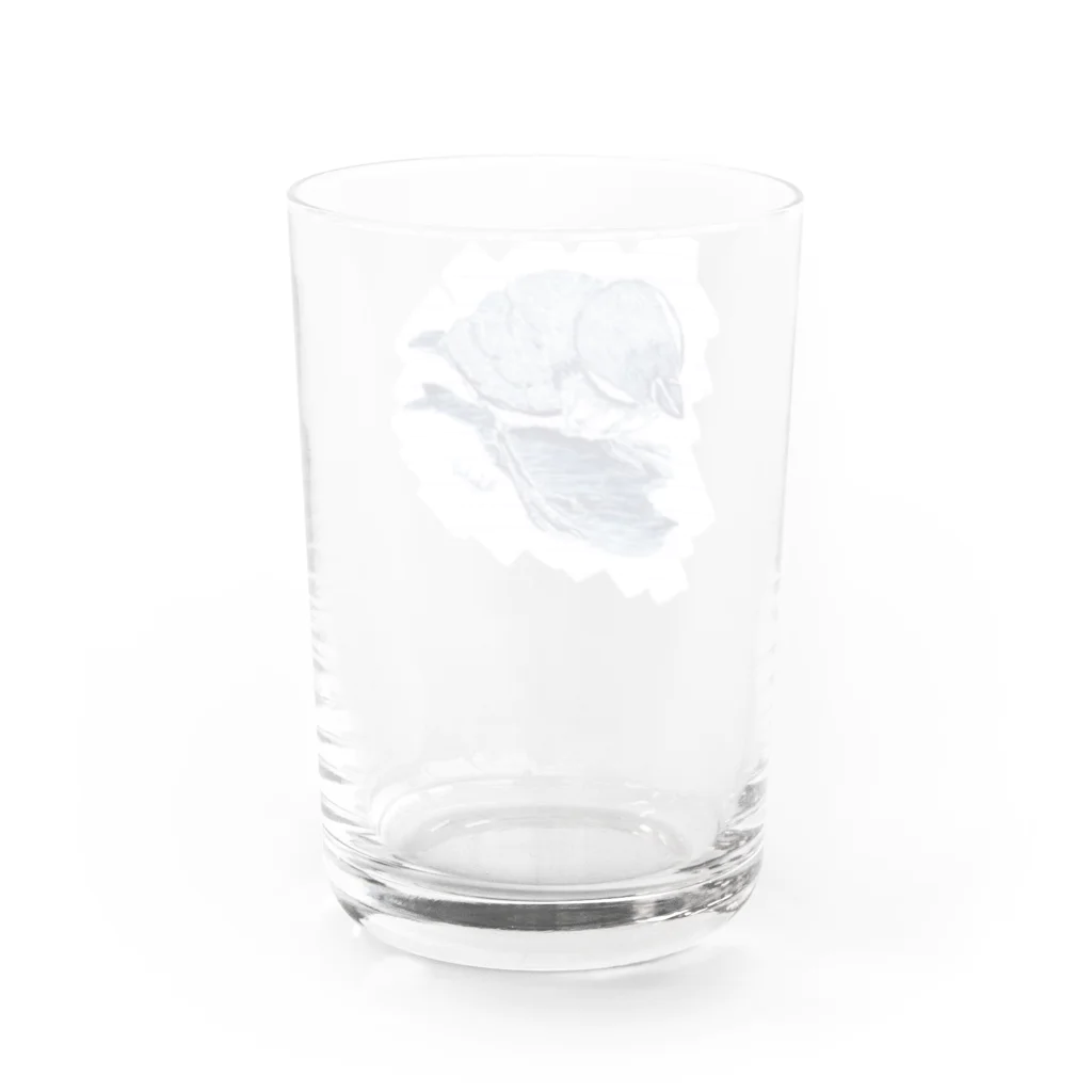 kakachun2のひな文鳥のくりくりアタマ Water Glass :back