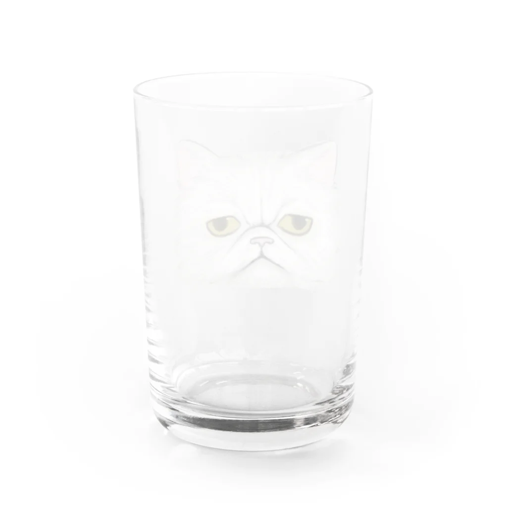 まるのペルシャ猫は見ている Water Glass :back