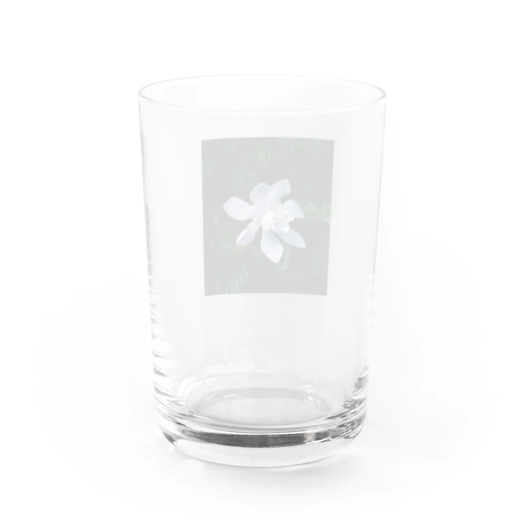 サトリアートのKuchinashi Water Glass :back