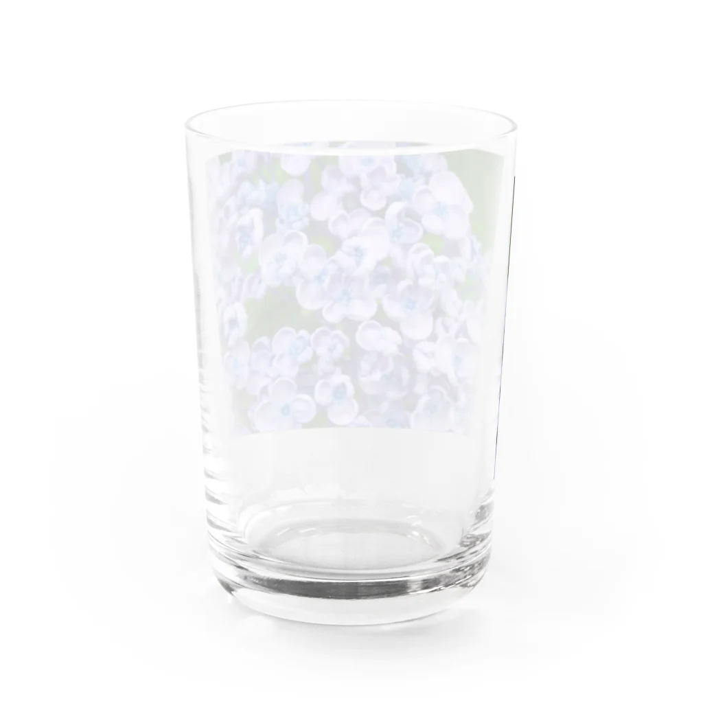 M&Hの紫陽花 Water Glass :back