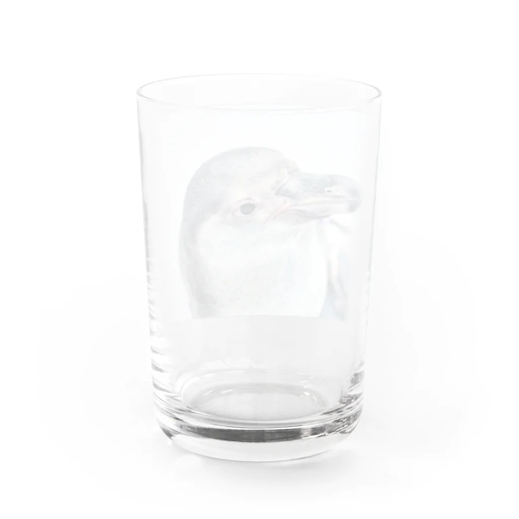 M&Hのペンギン Water Glass :back