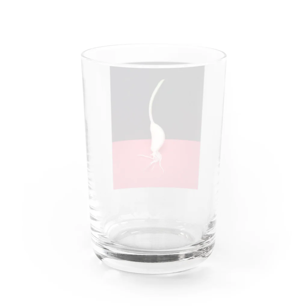 紅クラゲの自立ニンニク Water Glass :back