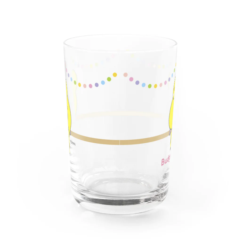 ぴっぴの巣♪ ＊セキセイインコ＊のルチノー女の子＊セキセイインコ＊ Water Glass :back