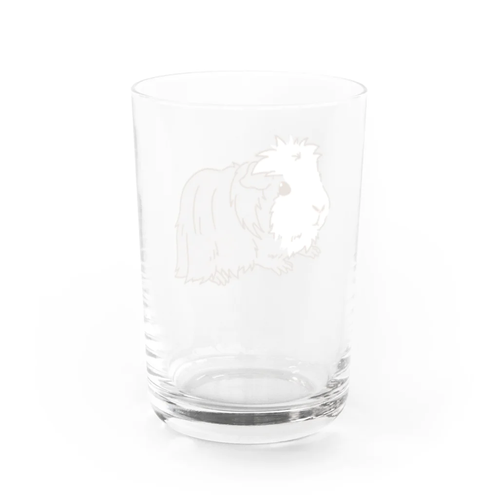 Lichtmuhleの【小さな旅人】コロネットモルモットのコロネ Water Glass :back